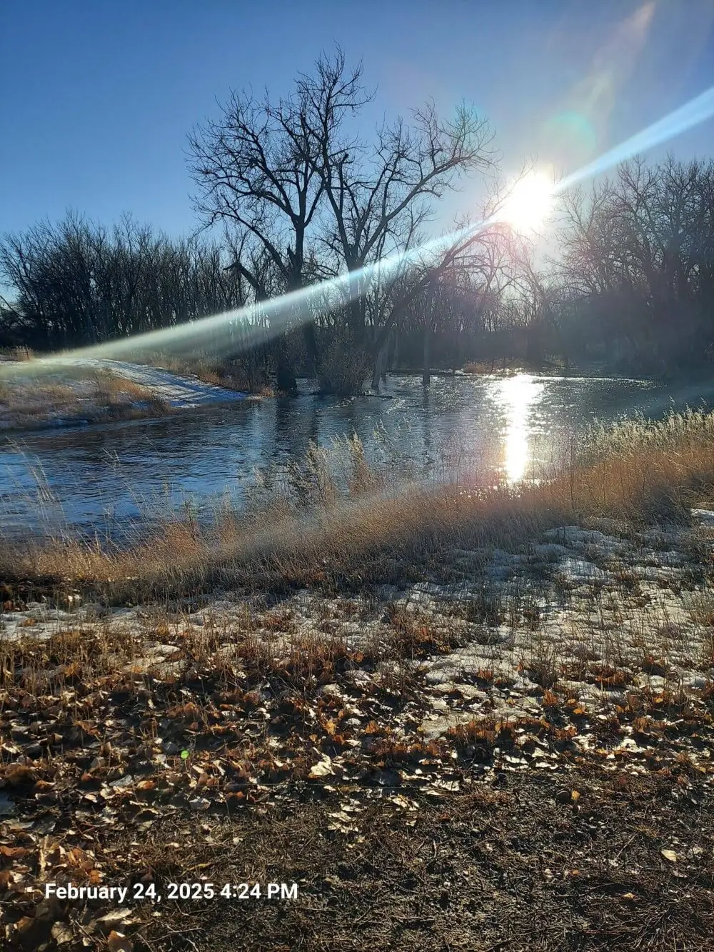Smokey Bottoms Property View