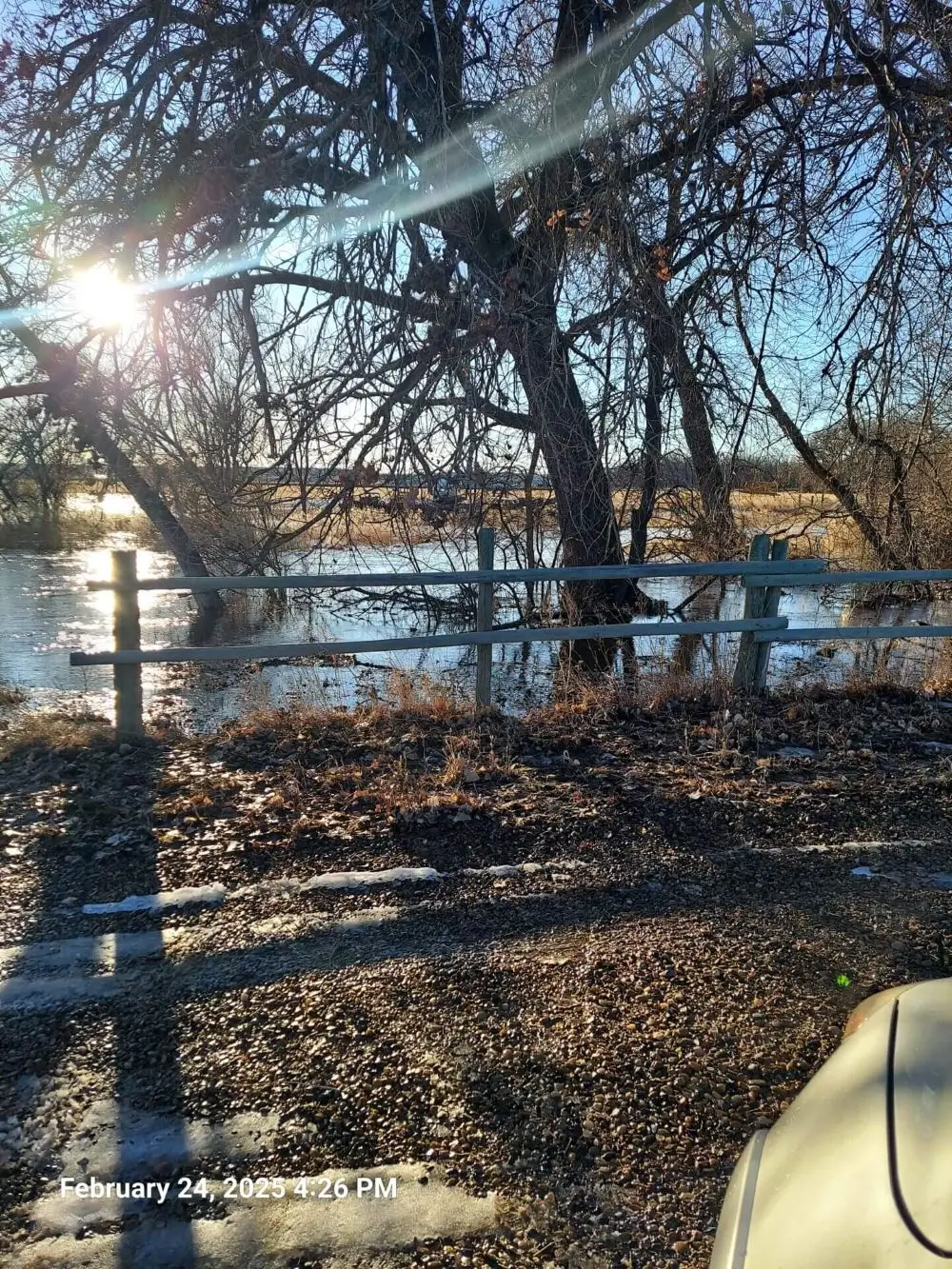 view of a tree, lake and the sun